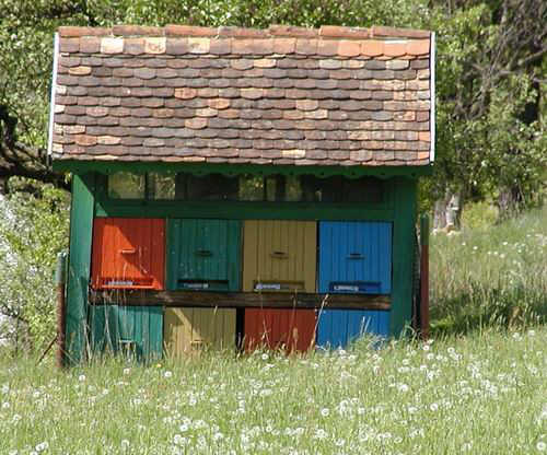 image003